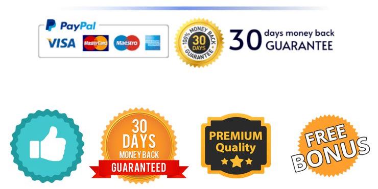 VidBamboo Review - 30-day money-back guarantee, premium quality badges, and accepted payment options for VidBamboo purchase
